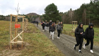 ralsko Nová Alej vzpomínek v Geoparku Ralsko